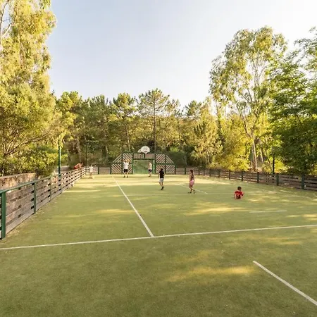 Rénové à Dans Le Golfe De Saint-tropez - Les Restanques Appartamento