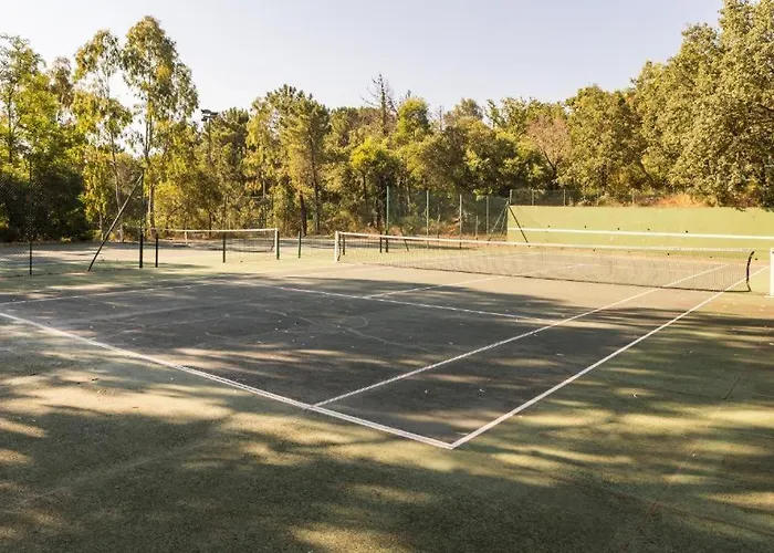 Renove A Dans Le Golfe De Saint-tropez - Les Restanques Apartment Grimaud